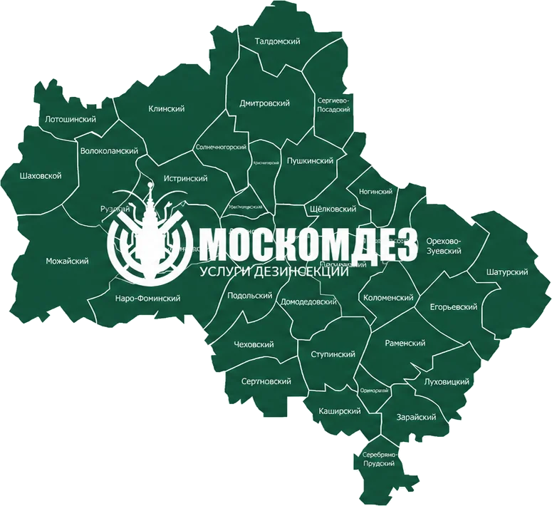 Карта выезда: Краснозаводск и Московская область